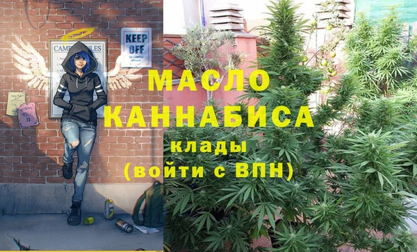 индика Киренск