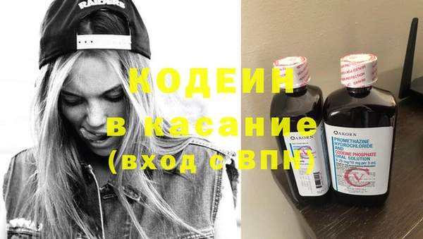 индика Киренск