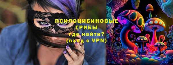 индика Киренск