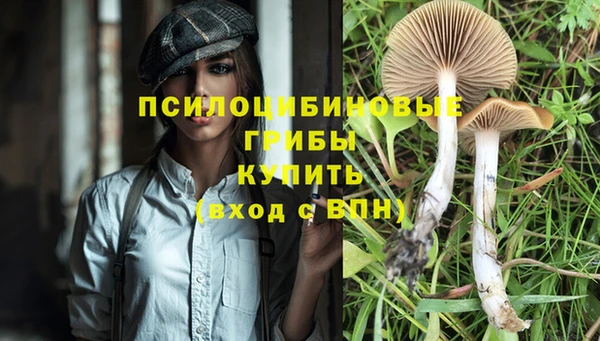 кокаин перу Касимов