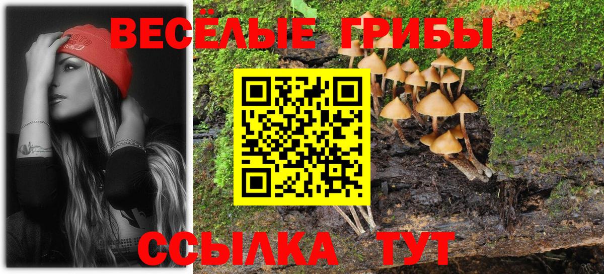 Псилоцибиновые грибы GOLDEN TEACHER Кизляр